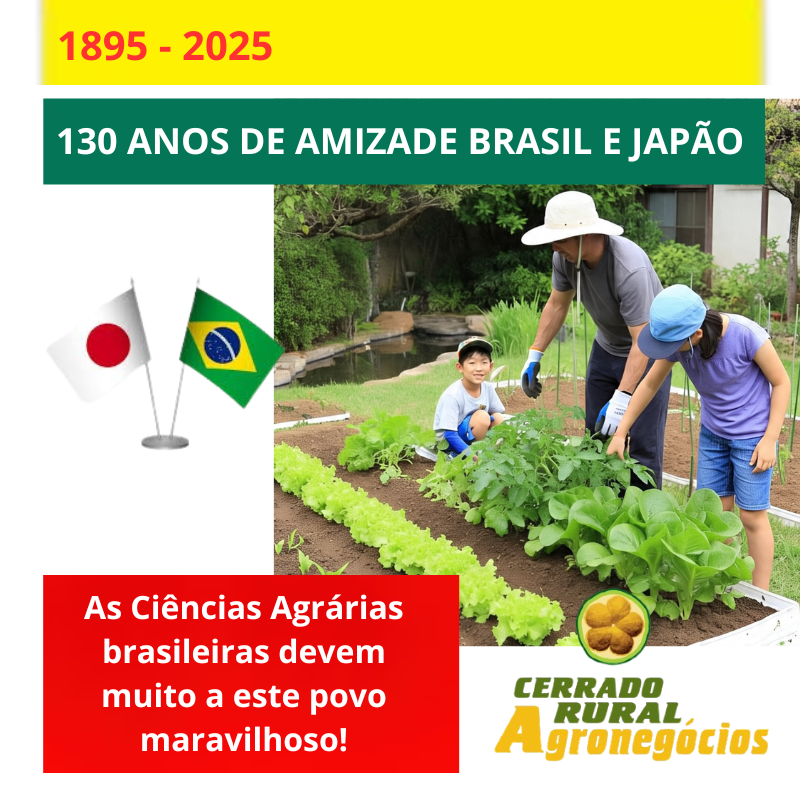 Publicidade